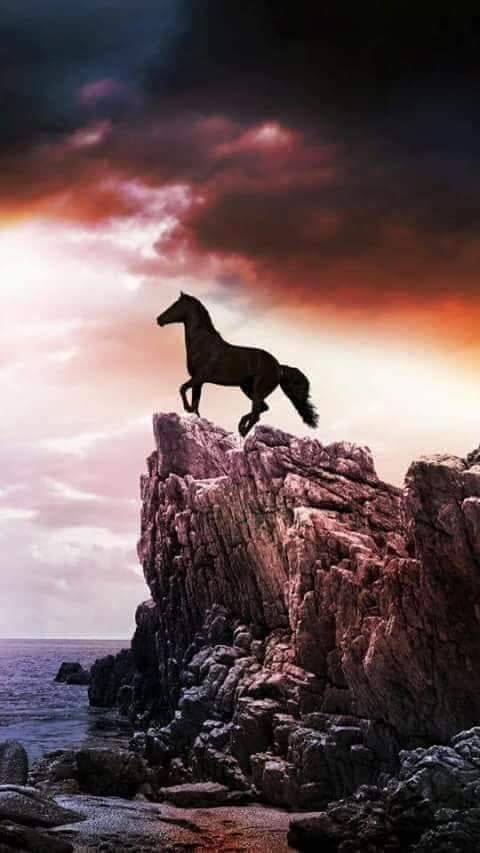 دروس سياسية