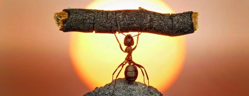 قوة سمعتك السياسية