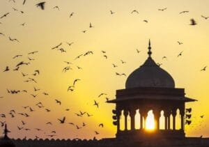 تطور مدارس الفقه الإسلامي