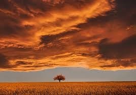 هلاك الظالم